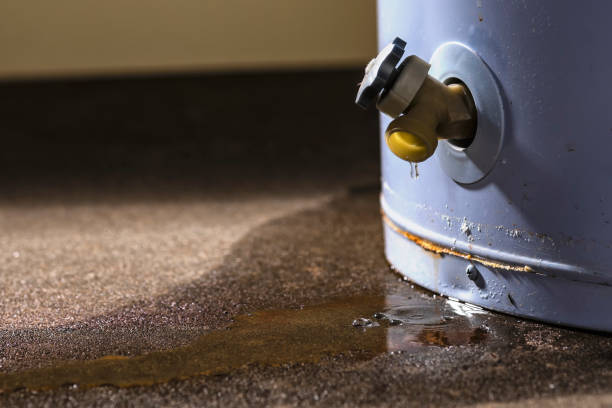 Best Carpet water damage restoration  in Ellport, PA