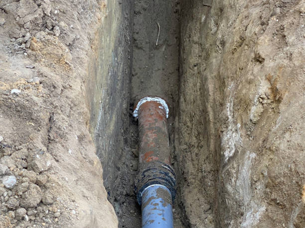 Best Basement water damage restoration  in Ellport, PA