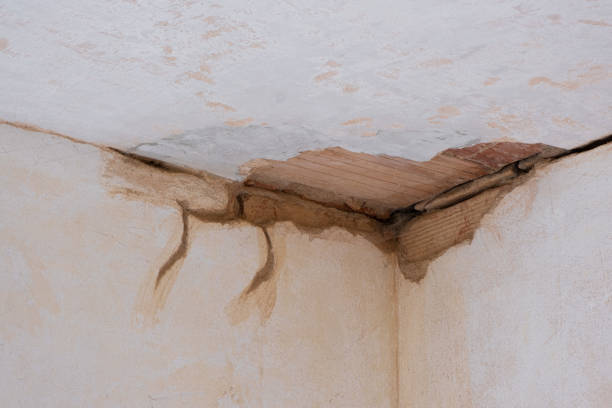 Best Water damage restoration near me  in Ellport, PA
