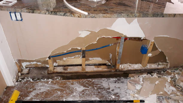 Best Water damage repair service  in Ellport, PA