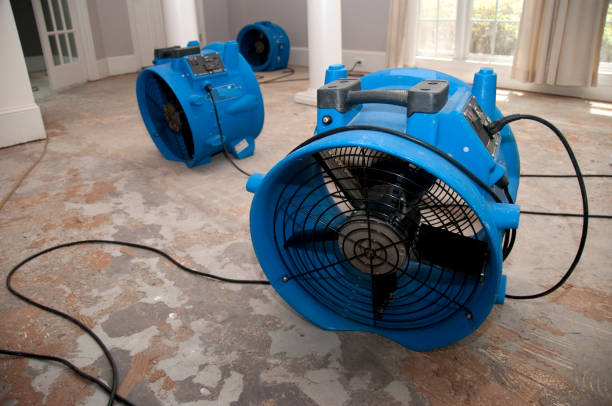 Best Water damage repair service  in Ellport, PA