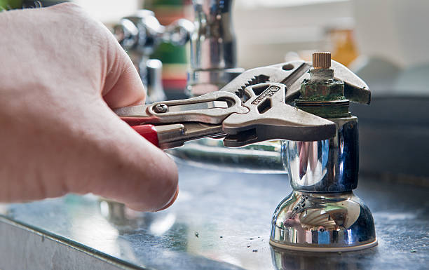 Best Mold removal after water damage  in Ellport, PA