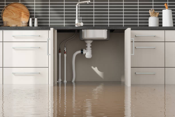Best Local water damage restoration  in Ellport, PA