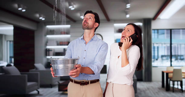 Best Flood damage cleanup  in Ellport, PA