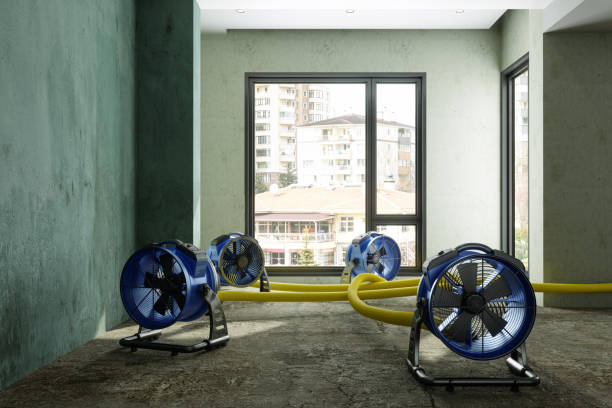 Best Water damage cleanup near me  in Ellport, PA
