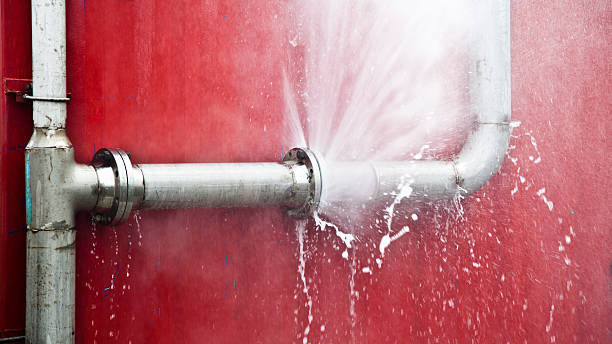 Best Professional water damage repair  in Ellport, PA